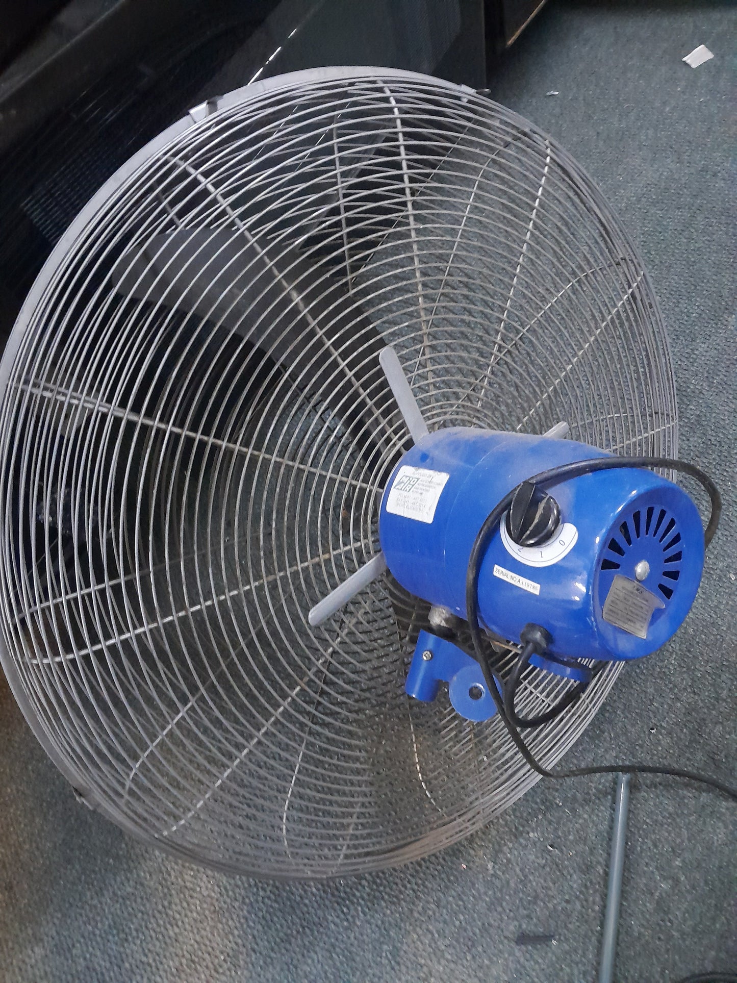 Large AMS industrial fan with blue motor housing and protective metal grille, three blades, placed on a carpeted floor. Available at Die Skatkis.