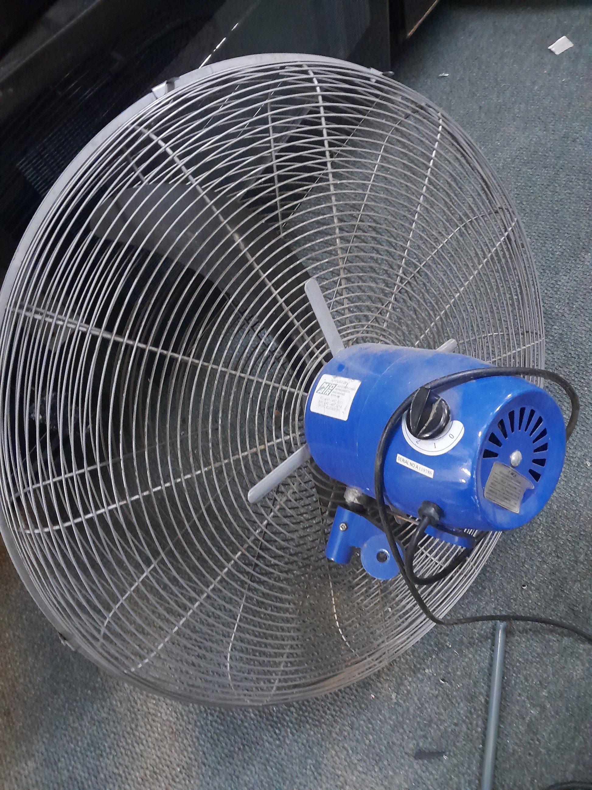Large AMS industrial fan with blue motor housing and protective metal grille, three blades, placed on a carpeted floor. Available at Die Skatkis.